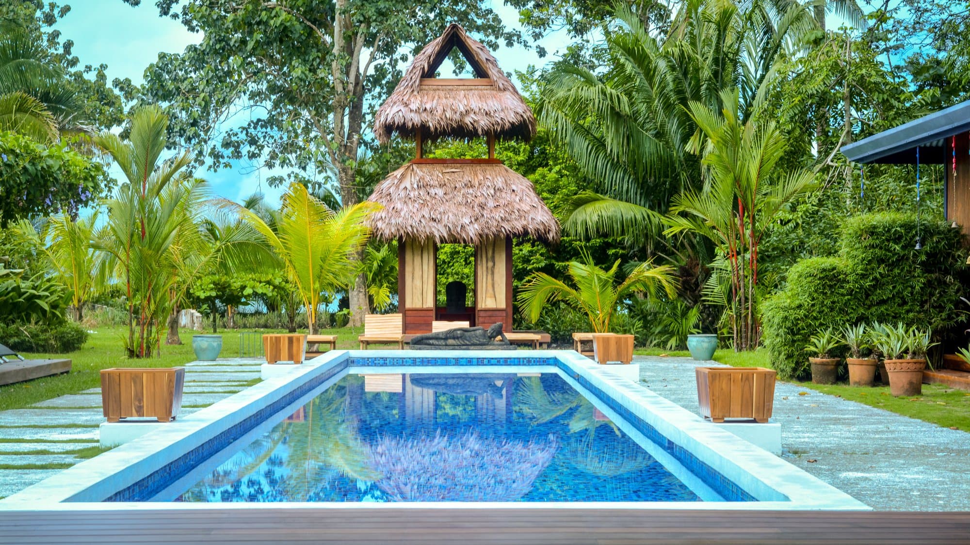 Fresh juices and wellness